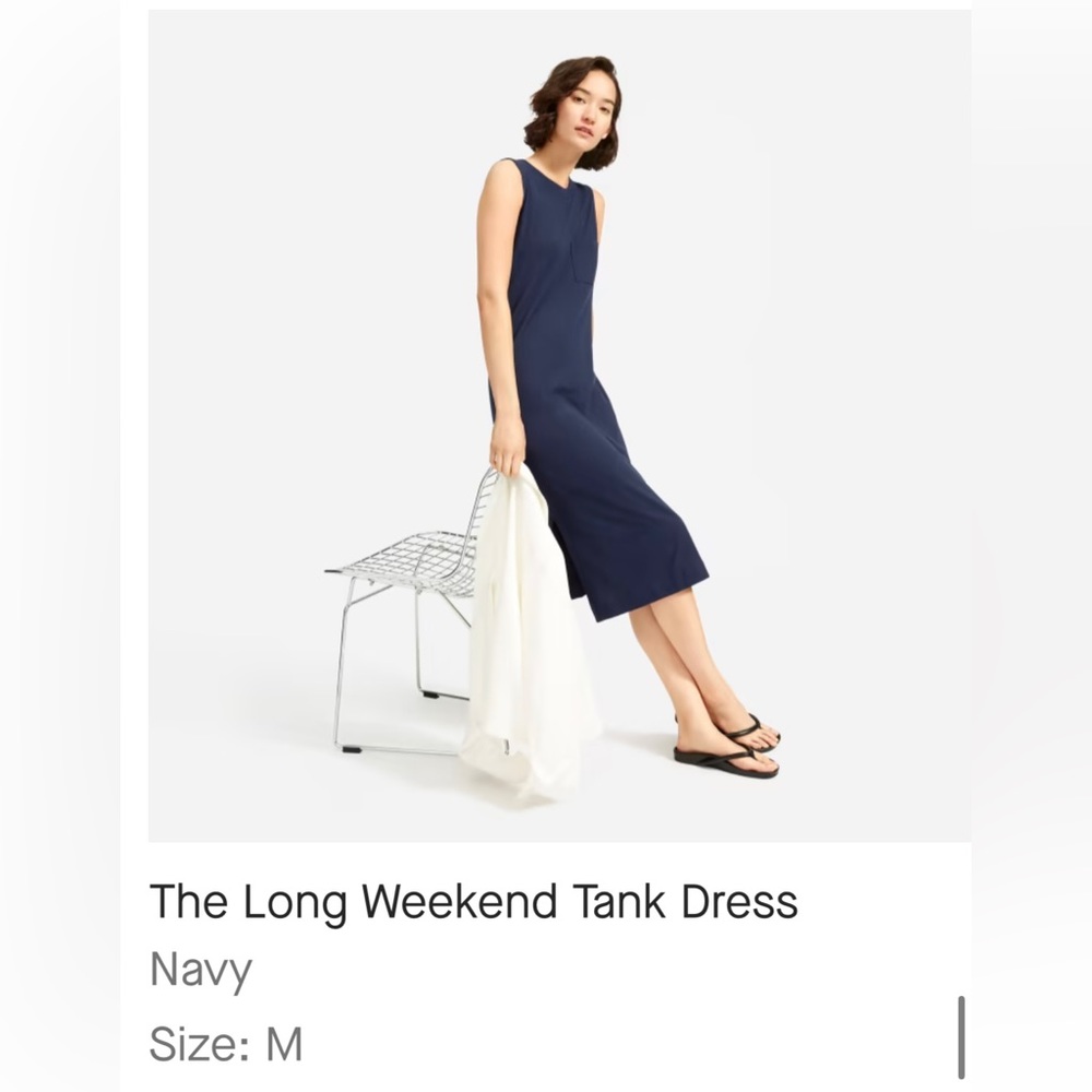 Everlane Long Weekend Tank Dress